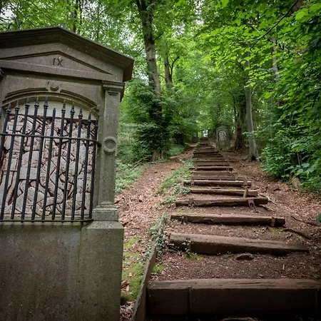 Terre Rouge & Terra Rubica - Les Terrasses De * 马尔梅迪