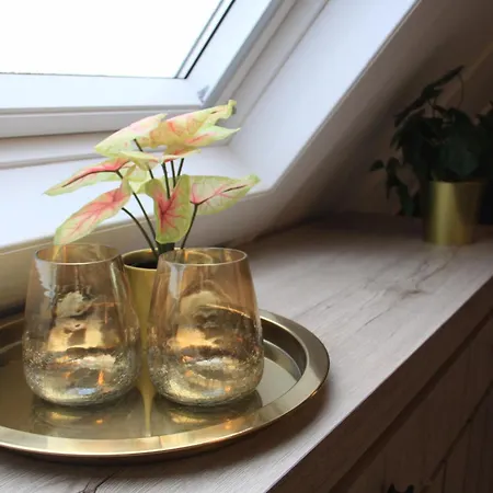 Chalet Terre Rouge & Terra Rubica - Les Terrasses De *