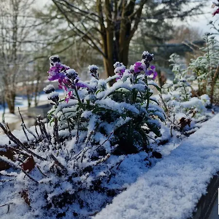 Terre Rouge & Terra Rubica - Les Terrasses De *